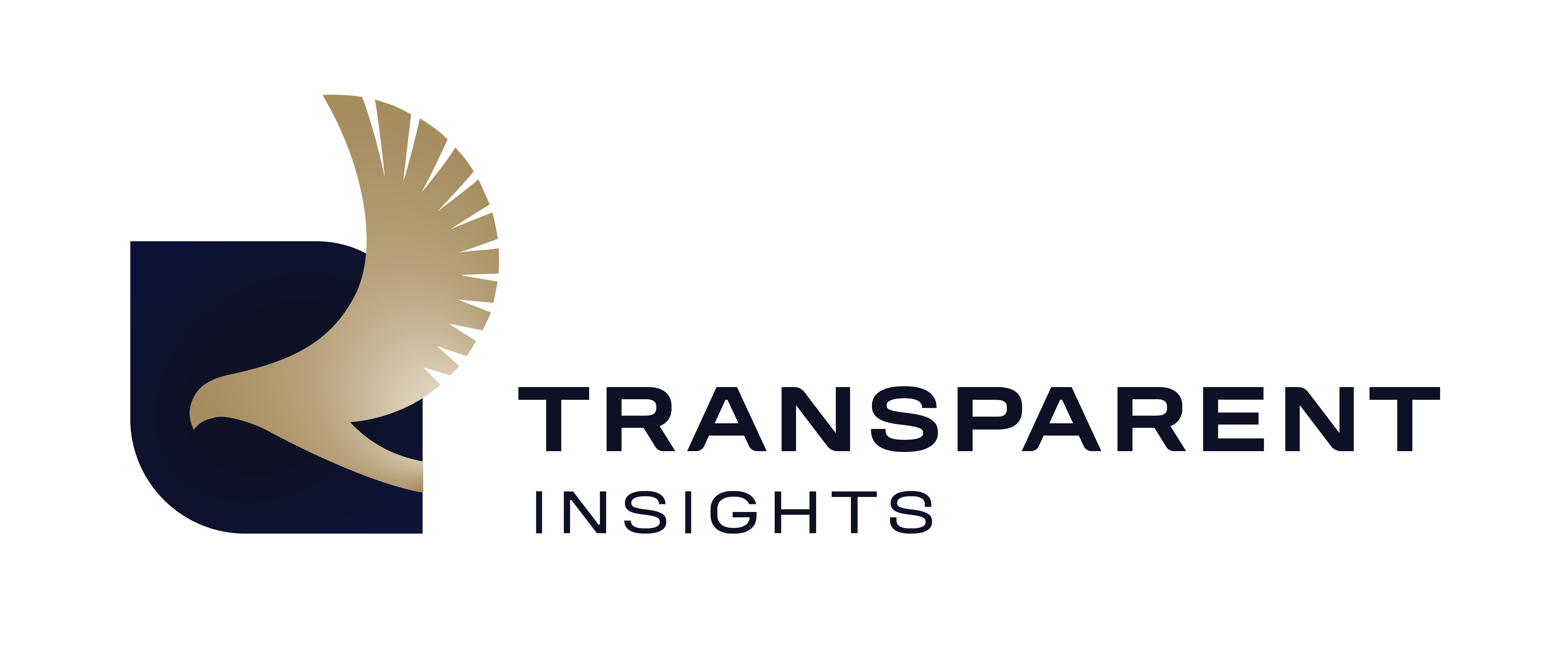 Transparent Insights Logo